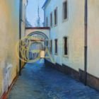 Pavel Černošek - 50x60 cm (3)