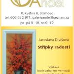 aaa - Jaroslava_Divisova