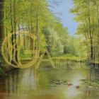 Dana Živorová - 70 x 50 cm