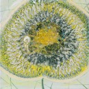 Laura Écsiová - 50x50 (2) cm