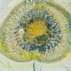Laura Écsiová - 50x50 (2) cm