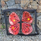 Ivona-Spurna-Motyl-v-ramu
