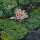 Petr-Lichtenberg-110x50-cm