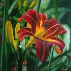 Petr-Lichtenberg-75x75-cm