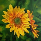 Petr-Lichtenberg-75x75cm