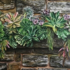Petr-Lichtenberg-90x45-cm